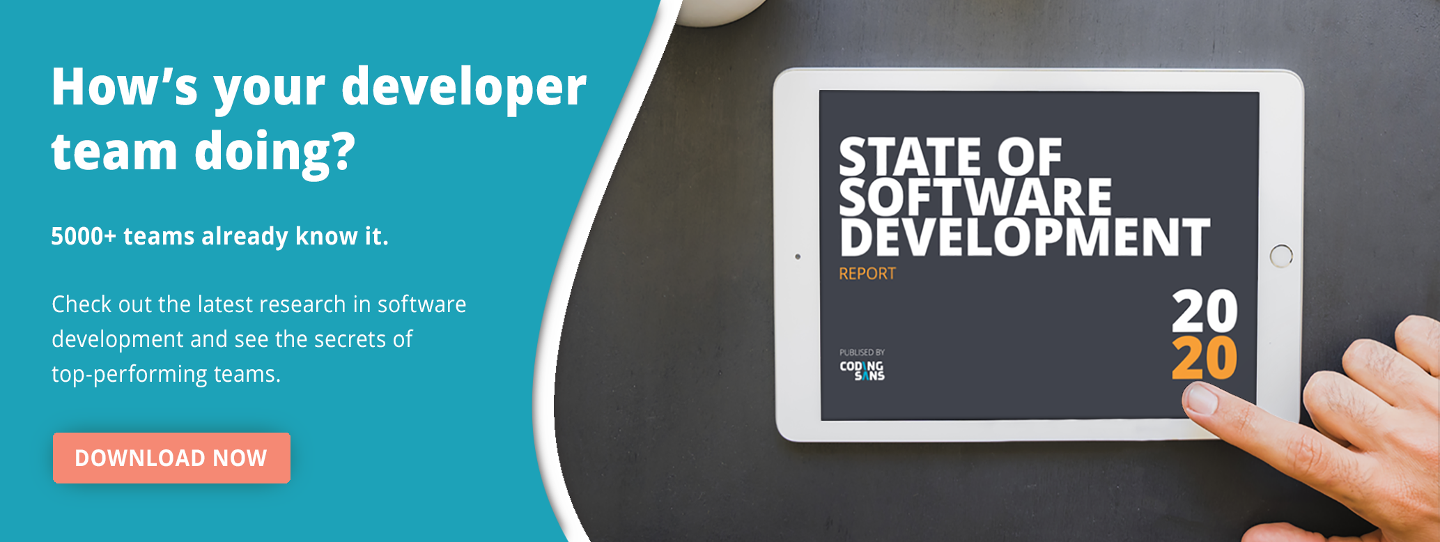 Software Development Trends Report